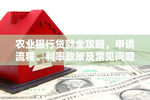 东胜农业银行贷款全攻略，申请流程、利率政策及常见问题解析
