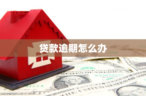 东胜贷款逾期怎么办