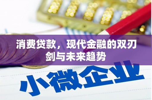 东胜消费贷款，现代金融的双刃剑与未来趋势