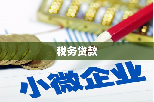 东胜税务贷款