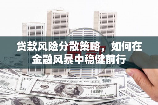 东胜贷款风险分散策略，如何在金融风暴中稳健前行