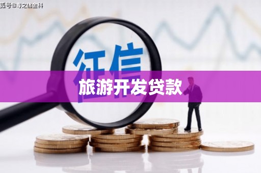 东胜旅游开发贷款