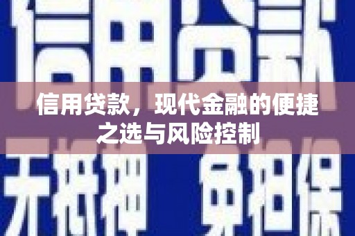 东胜信用贷款，现代金融的便捷之选与风险控制