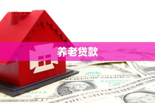 东胜养老贷款
