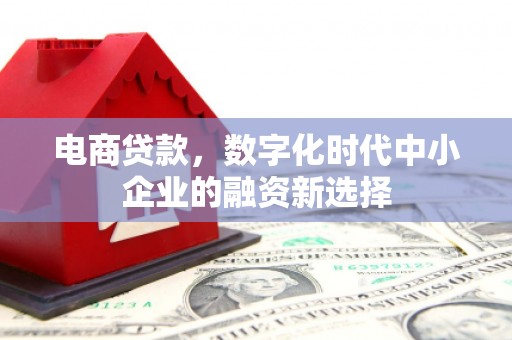 东胜电商贷款，数字化时代中小企业的融资新选择