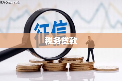 东胜税务贷款