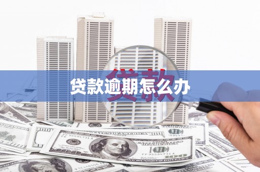 东胜贷款逾期怎么办