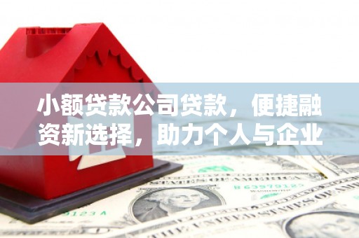 东胜小额贷款公司贷款，便捷融资新选择，助力个人与企业成长
