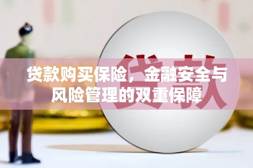东胜贷款购买保险，金融安全与风险管理的双重保障