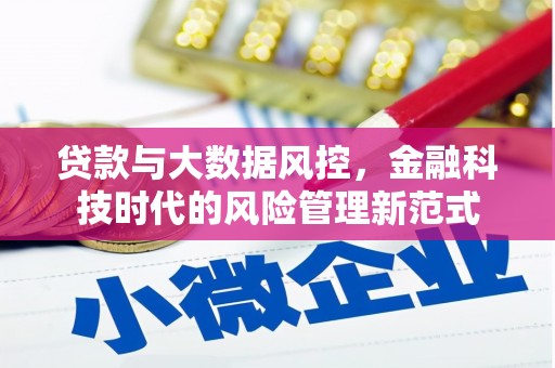 东胜贷款与大数据风控，金融科技时代的风险管理新范式