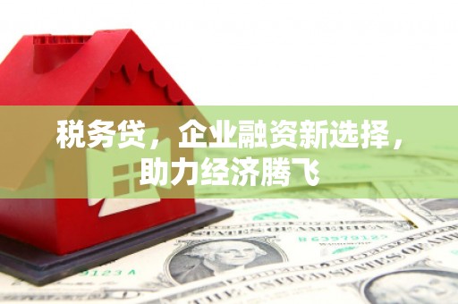 东胜税务贷，企业融资新选择，助力经济腾飞