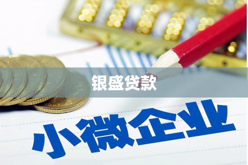 东胜银盛贷款