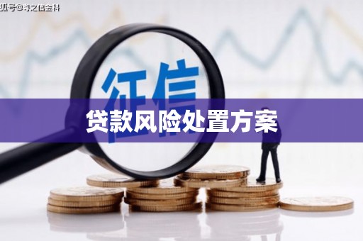 东胜贷款风险处置方案