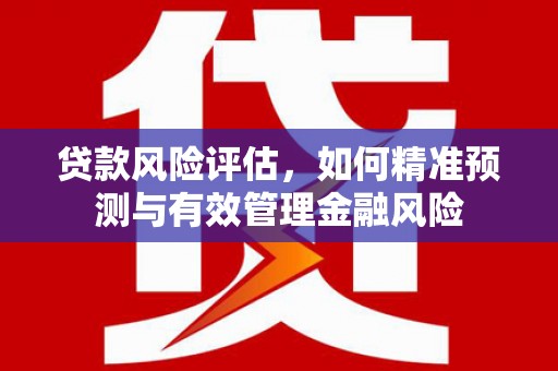 东胜贷款风险评估，如何精准预测与有效管理金融风险