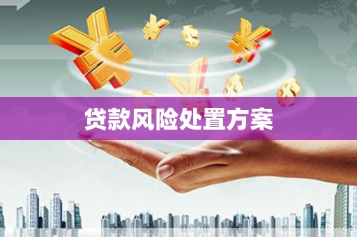 东胜贷款风险处置方案