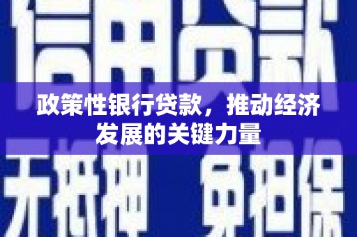 东胜政策性银行贷款，推动经济发展的关键力量
