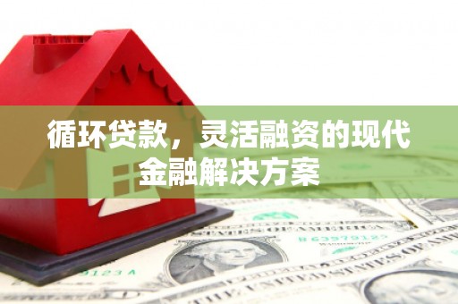 东胜循环贷款，灵活融资的现代金融解决方案