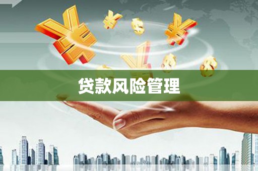 东胜贷款风险管理