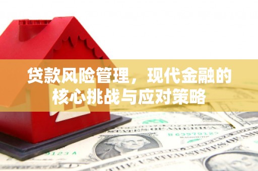 东胜贷款风险管理，现代金融的核心挑战与应对策略