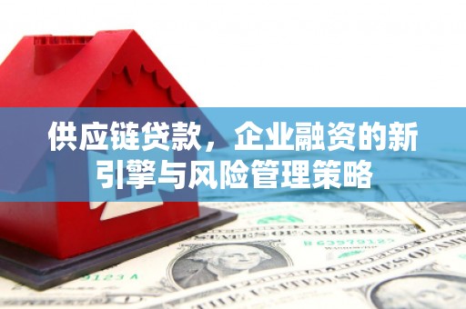 东胜供应链贷款，企业融资的新引擎与风险管理策略