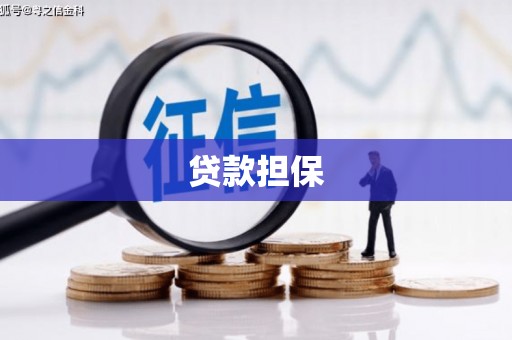 东胜贷款担保