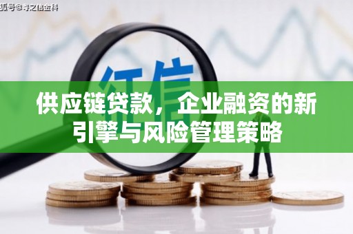 东胜供应链贷款，企业融资的新引擎与风险管理策略