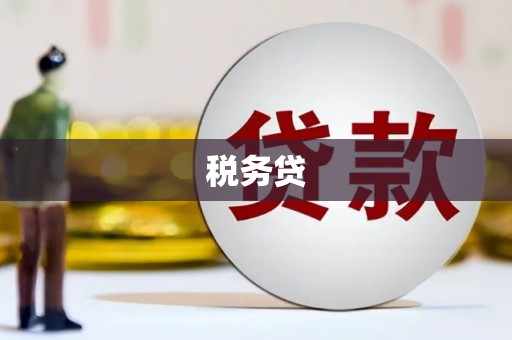 东胜税务贷