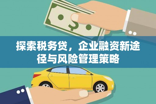东胜探索税务贷，企业融资新途径与风险管理策略