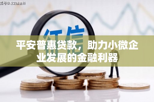东胜平安普惠贷款，助力小微企业发展的金融利器