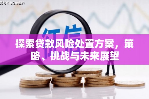 东胜探索贷款风险处置方案，策略、挑战与未来展望