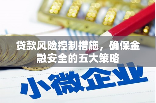东胜贷款风险控制措施，确保金融安全的五大策略