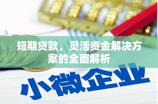 东胜短期贷款，灵活资金解决方案的全面解析