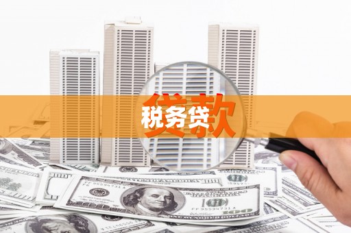 东胜税务贷
