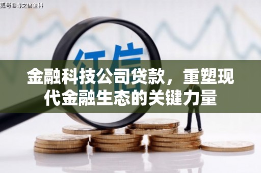 东胜金融科技公司贷款，重塑现代金融生态的关键力量