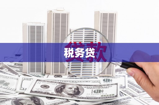东胜税务贷