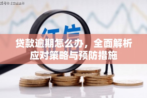 东胜贷款逾期怎么办，全面解析应对策略与预防措施