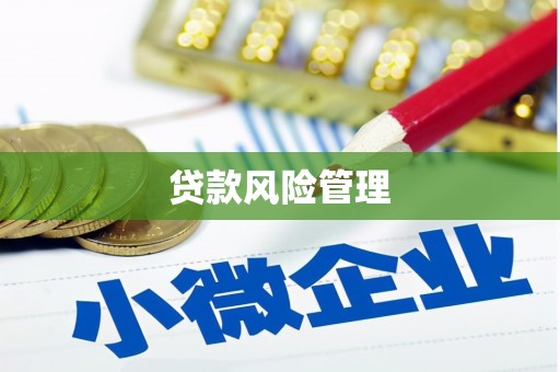 东胜贷款风险管理