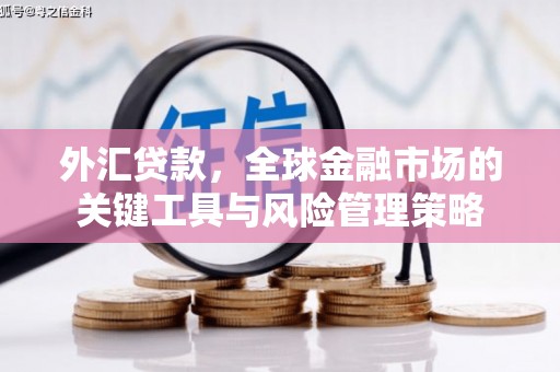 东胜外汇贷款，全球金融市场的关键工具与风险管理策略