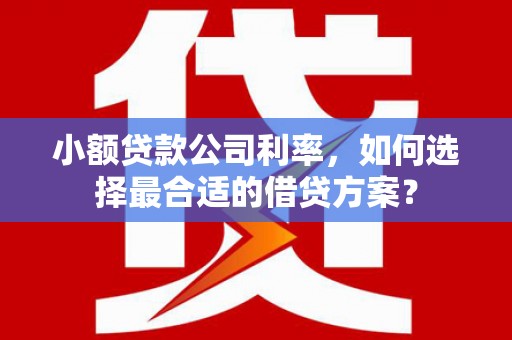 东胜小额贷款公司利率，如何选择最合适的借贷方案？