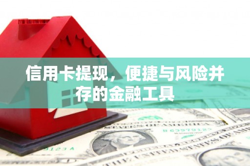 东胜信用卡提现，便捷与风险并存的金融工具