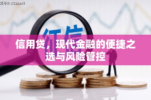 东胜信用贷，现代金融的便捷之选与风险管控