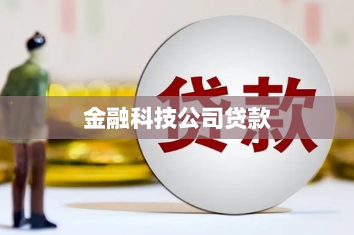 东胜金融科技公司贷款