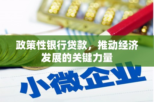 东胜政策性银行贷款，推动经济发展的关键力量