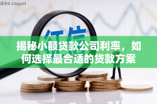 东胜揭秘小额贷款公司利率，如何选择最合适的贷款方案