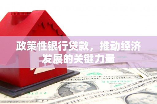 东胜政策性银行贷款，推动经济发展的关键力量