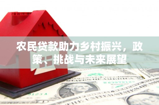 东胜农民贷款助力乡村振兴，政策、挑战与未来展望