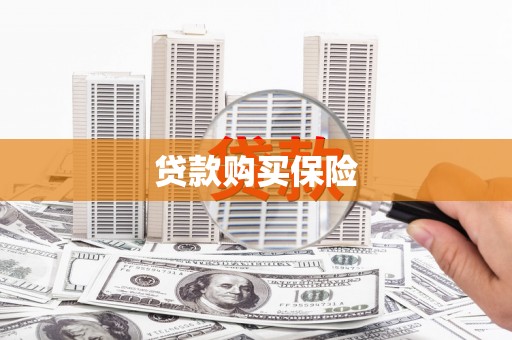 东胜贷款购买保险
