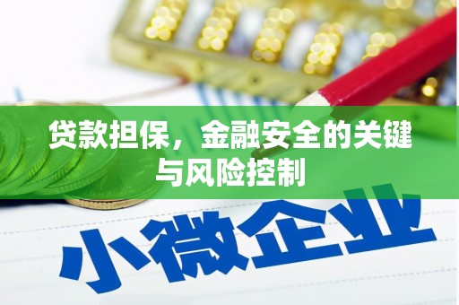 东胜贷款担保，金融安全的关键与风险控制