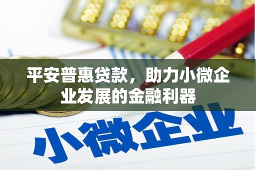 东胜平安普惠贷款，助力小微企业发展的金融利器