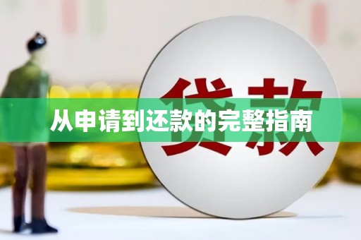 东胜从申请到还款的完整指南